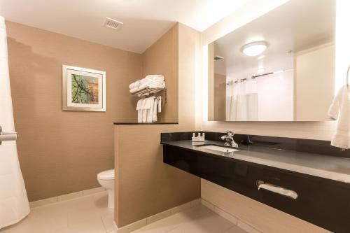 Fairfield Inn & Suites by Marriott Asheville Tunnel Road - image 6