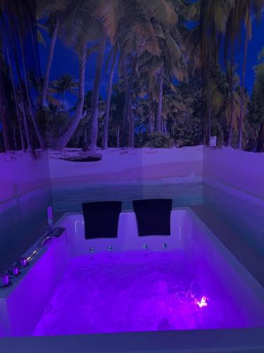 Habitacion con jacuzzi y baño privado 4