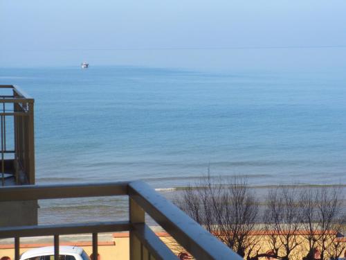 Rif. B12 - DELFINO 2