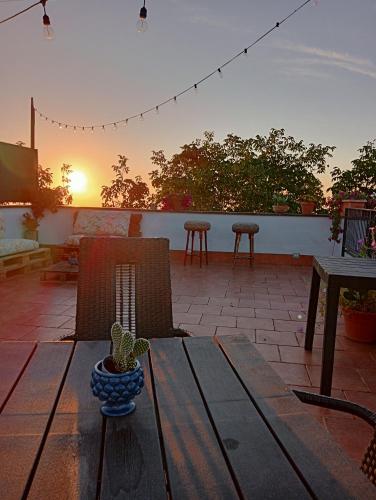 Hotel Milomax - image 13