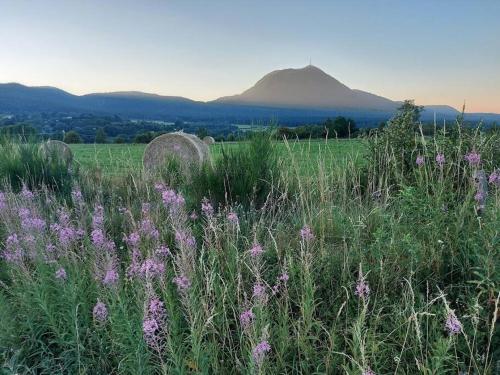 L'Amphithéâtre des Volcans - Vue Puy de Dôme