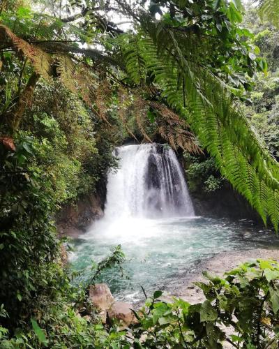 Apu Napo Lodge & Reserve