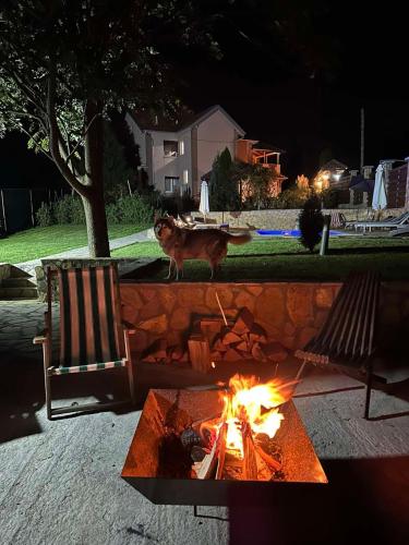 貝爾格勒 Vila Ana 4星级 单人房 大堂