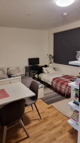 Studio apartment 10mins from Oslo Cent. station.