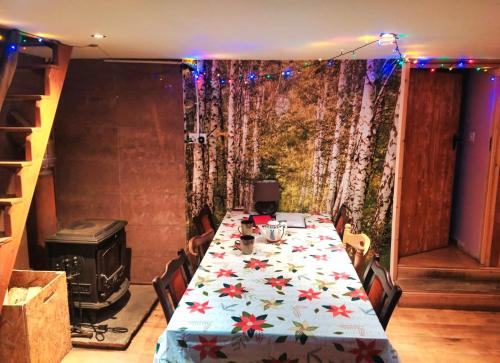Meadowsweet Forest Lodge in Dunglow