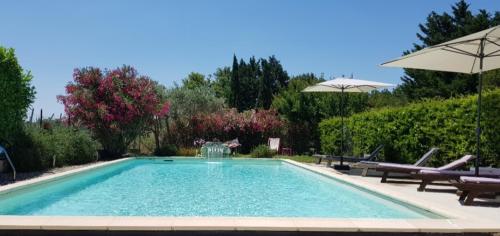 Le Mas Relax - Chambre d'hôtes - Cavaillon