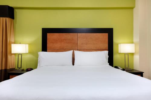 Holiday Inn Express & Suites - Atlanta Downtown