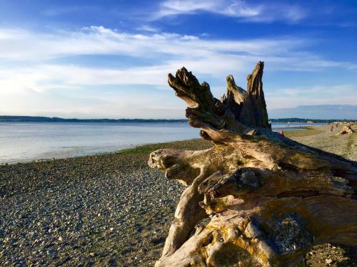 Birch Bay Beach Cabana