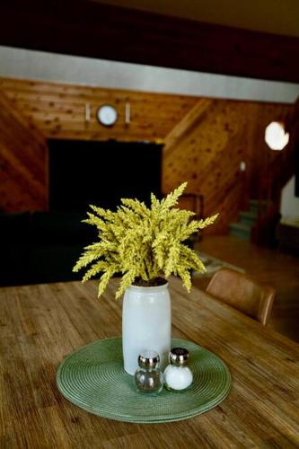 Cozy mountain house at Poconos in Albrightsville, USA