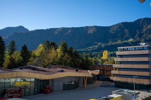  Goldau- Room with Mountain Rigi View in Goldau
