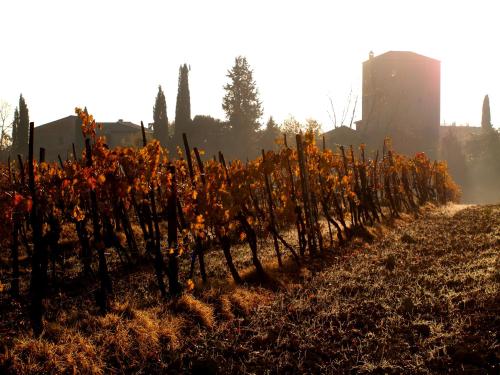 Agriturismo La Roverella