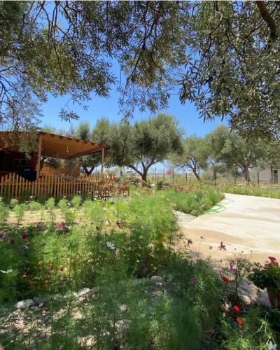 Viesnīcas āriene, Violet Village in Qazim Pali