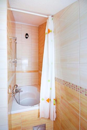One-Bedroom Apartment image 10