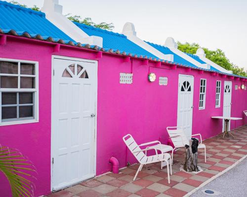 Landhuis Daniel - Plantation House in Tera Kora
