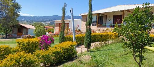 CABAÑA LOS JUANES (CABANA LOS JUANES) in Sutamarchán
