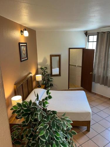 Quadruple Room image 7