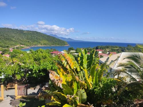 Cottages Les 3 Rochers - Vue sur mer - Location saisonnière - Terre-de-Bas