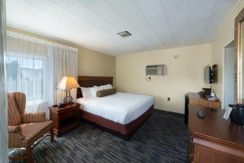 King Room - Poolside