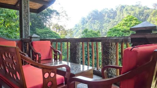 Balcony/terrace, Hotel Orangutan in Bukit Lawang