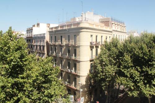 Som Nit Triomf - image 4
