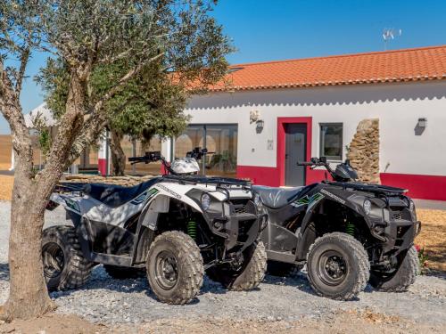 Fontes Bárbaras Enoturismo