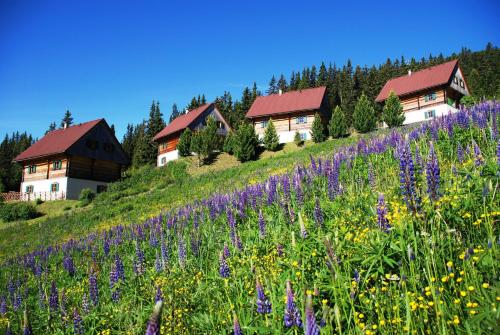 Almhütten Moselebauer - image 7