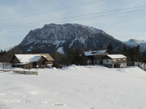 Ferienwohnung am Bauernhof Koa in Bad Goisern