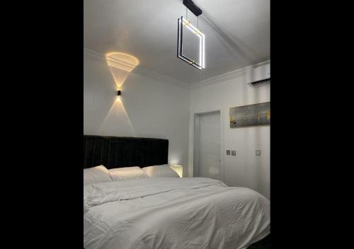Exquisite Lekki Phase1 Apartment - image 2