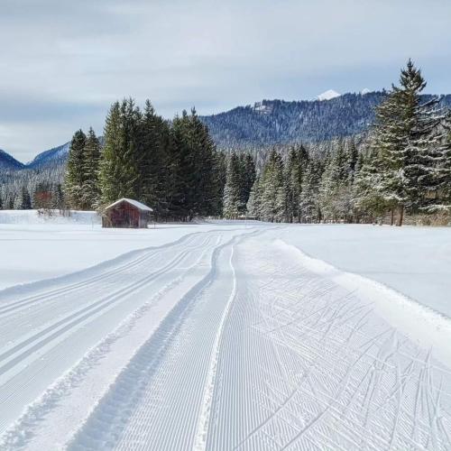尊特尔旅馆 尊特尔旅馆