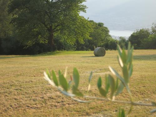 Agriturismo Deviscio B&B