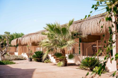Buitenkant, Agroturismo Son Barcelo Mas in Campos