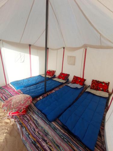 flamingo camp in Faiyum