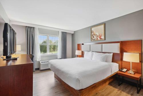 1 king bed, 1 sofa bed