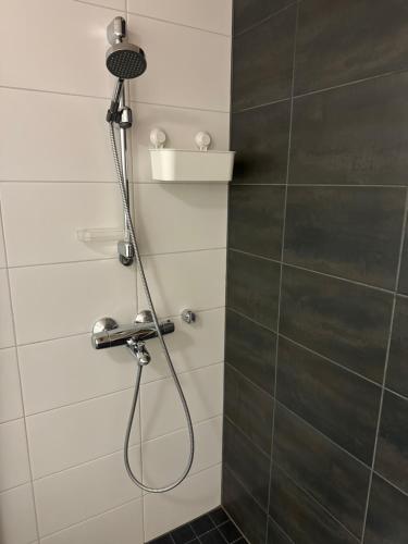 Top floor flat with sauna, A/C & free parking, Vantaa (fotografie 9)