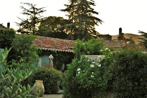 Le Chat Sur Le Toit - Chambre d'hôtes - Lourmarin