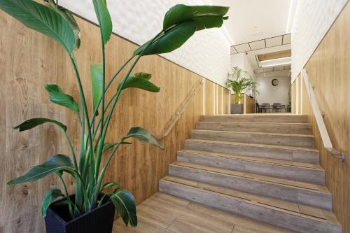 Green House Hotel, Barcelona (fotografie 3)