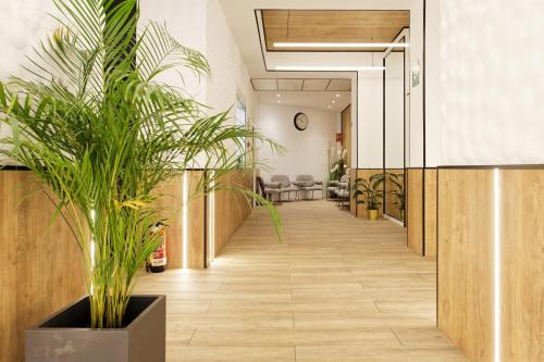 Green House Hotel, Barcelona (fotografie 5)
