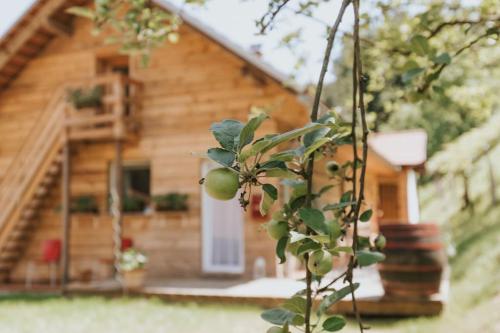 Wine & Art Lodge Jeruzalem, Лютомер (фото 6)