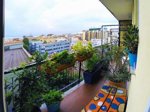 Up to Seven – Milan, DC