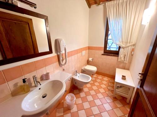 Capanna 1826, San Gimignano (Foto 5)