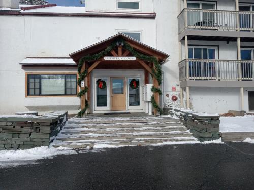Ski to your back door! Shared condo with ski professional and cat.