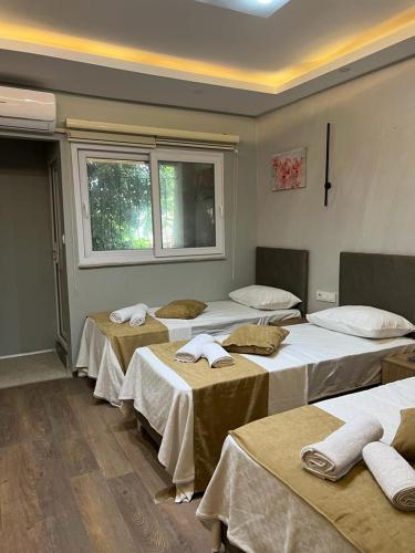 Mr Lion Kumkapı Otel - image 10