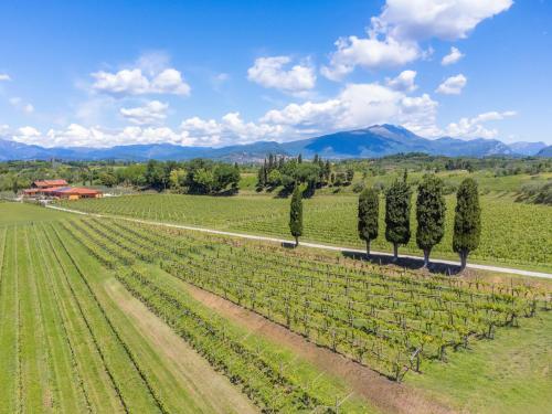 Agriturismo Ai Prati 5