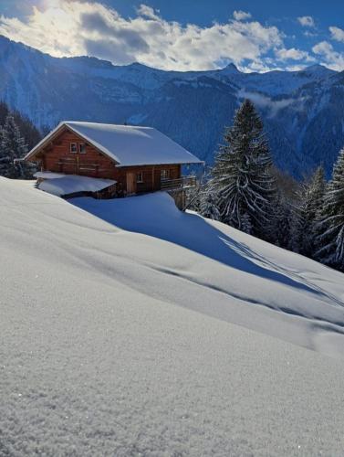 สภาพแวดล้อมโดยรอบ, Haus Sonnberg in แบร์ก