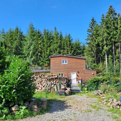 Sublime forêt BnB Ronchampay