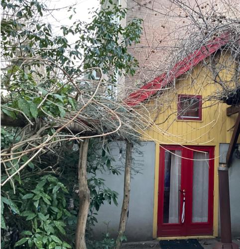 Tiny house for 2 with private garden, Utrecht (foto 8)