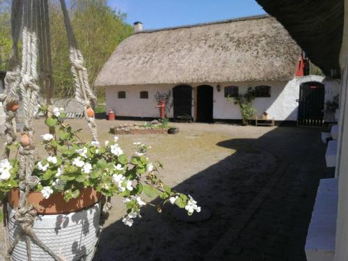 Sleeps 8