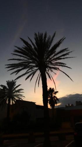 Location Mer Azur Sud Location Mer Azur Sud