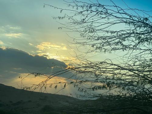 A wonderful stay at the Dead Sea photo 1
