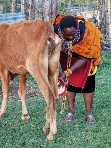 Nashipa homestay Maasai Mara